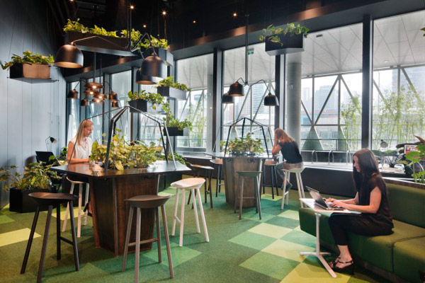 zielona oaza w biurze, projektowanie wnętrz biurowych warszawa
